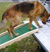 Here are answers to some indoor dog ramp or dog ramp for car questions. Dog Ramp Plans Dog Ramp Diy Dog Stairs Dog Ramp For Bed