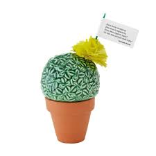 É uma planta herbácea, considerada daninha, que infesta principalmente lavouras de milho. A Medusa E O Manjerico Pequeno Verde Casas Com Design Shop