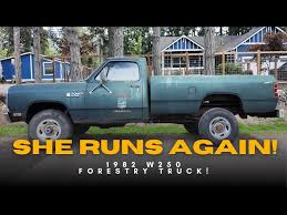 Image result for Brite Silver 1982 Dodge