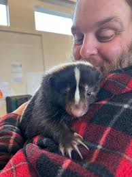 How Wild Is Your Garden event held at Old Catton Church Hall