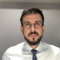 PDF) Democracia e Processo