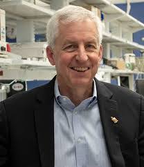 Sean Lund's Instagram, Twitter & Facebook