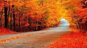 Download Orange Wallpaper Desktop Wallpapers Backgrounds Desktop Wallpaper Fall Fall Pictures