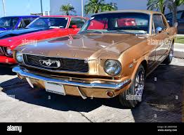 Image result for Anniversary Gold 1966 Mustang