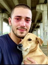 Stray dog changes homeless person's life