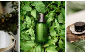 Comisia nationala pentru produse biocide ministry of health. Ziua De Cluj Produse Cosmetice Ecologice Pentru CÄƒ SÄƒnÄƒtatea ConteazÄƒ