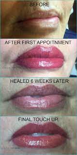 Lip Tattooing By Chloe Regan Cosmetic Tattooist Before And After Photos Including Healed Lips And Touch Up Appoin Lip Tattoos Lip Liner Tattoo Lip Color Tattoo