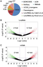 Differential Expression Of Lncrnas Between Tad And Nta By