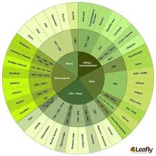 Medical Cannabis Strain Chart Know What Strain You Need To