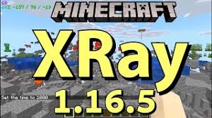 This question has been getting brought up within the community of the game quite a bit. Xray Mod 1 17 1 1 16 5 1 15 2 1 14 4 Scan Ores Minecraft Download