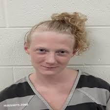 Monroe County Mugshots Zone