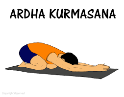 Ardha Kurmasana Steps Benefits Precautions 101yogasan