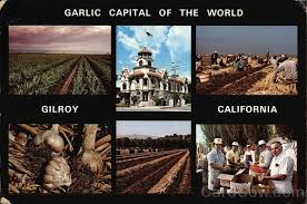 The book examines the role of food and festivals in creating a place brand or marketable identity. Garlic Capital Of The World Gilroy World Vintage Postcard