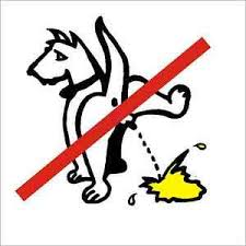 2 verbotsschilder 'kein hundeklo' im hochformat und im querformat. Hunde Verbotsschilder Gunstig Kaufen Ebay