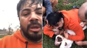 Brasil: fue atacado por dos pitbulls, luchó por su vida y logró dominarlos  con técnicas de defensa personal