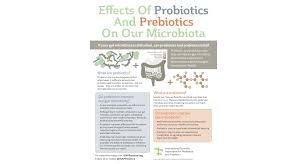 The Effects of Probiotics and Prebiotics on our Gut Microbiota - Gut  Microbiota for Health