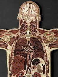 Linn fijal & vilma colling lisa nilsson. Paper Artist Lisa Nilsson S Anatomical Art Work