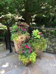 Lots of colour all summer. Signature Gardens Containers Annuals Spring Summer