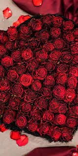 Heart Shape Bouquet Red Roses Fresh 1080x2160 Wallpaper Beautiful Flowers Images Red Roses Beautiful Rose Flowers