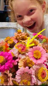 Smiling zinnia flower found