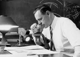 Image result for Thomandersiaceae