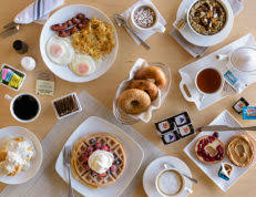 Manufactures, packages, and sells food products. Diamond Crystal Brands