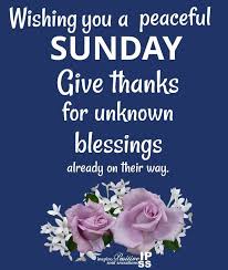  Wishing You A Peaceful Sunday Sunday Its Sunday Happy Sunday Quotes Good Morning Sunday Good Morning Quotes Sunday Quotes Sunday Morning Quotes