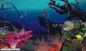 Aquarium Ocean 3d Telecharger Gratuitement La Derniere Version Apporter votre smartphone à la vie avec fond d'écran animé android et l'expérience fond d'écran livre comme vous ne l'avez fait avant! aquarium ocean 3d telecharger