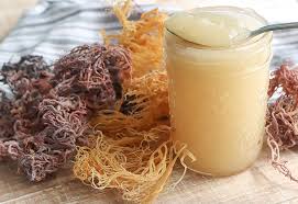 Check spelling or type a new query. How To Make Diy Sea Moss Gel For Curly Hair Naturallycurly Com
