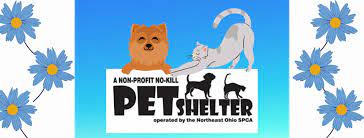*certain animals may have higher or lower adoption fees. Northeast Ohio Spca No Kill Pet Shelter Home Facebook