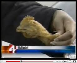 Add the flour, salt, and pepper and toss to combine. Chicken Head In Chicken Nuggets Mcdonalds Chicken Head In Chicken Nuggets Mcnasty Youtube These Chicken Nuggets Use Real Chicken Breast Meat So You Know They Will Be
