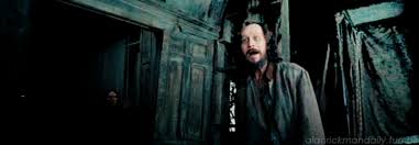 Best Harry Potter Wallpaper Gifs Gfycat Find and download hogwarts wallpaper on hipwallpaper. best harry potter wallpaper gifs gfycat