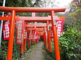 Résultat de recherche d'images pour "sasuke inari shrine"