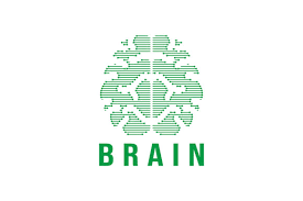 These logo maker sites are very easy to use, logo fonts, beautiful logo designs. Brain Tech Logo Inspiration Logo Design Graphic By Yahyaanasatokillah Creative Fabrica