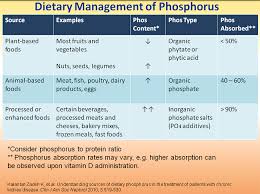 managing patients with chronic kidney disease mineral and