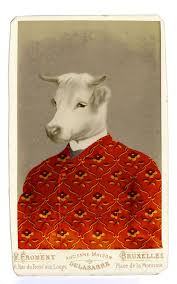 Serge C Philippe Debongnie He Is Somewhat Stubborn Bestiaire