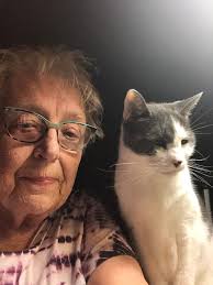 Lost dog named Nina in Metairie area near Williams and Illinois