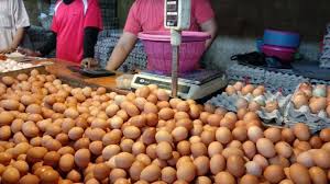 Hal ini penting karena pada akhirnya telur yang dihasilkan akan menentukan nilai jualnya dipasaran. Harga Telur Telor Ayam Ras Hari Ini Peti Kiloan Curah Tahun 2020 Honda Mobil