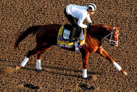 Breeders Cup Classic Field Ready For Prime Time The