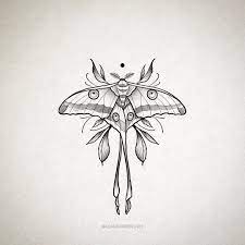 Adam Obrien On Instagram Neotraditional Neotrad Lunar Moth Leaves Tattoo Design Graphic Art Painting Moth Tattoo Design Lunar Moth Tattoo Luna Moth Tattoo