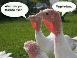 Thank you so much for taking the time to keep this board fresh and. Happy Thanksgiving Day Funny Quotes Quotesgram