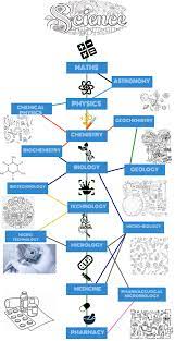 Top Courses After 12th In Science Commerce And Arts In 2019 Career Options Best Educational Apps Physics Answers