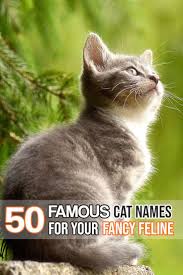 Felineliving Net Girl Cat Names Kitten Names Boy Kitten Names