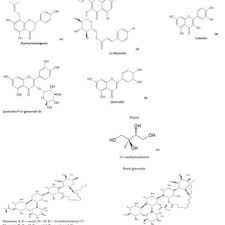 Image result for Merremia pterygocaulos