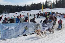 Things to do near nordream chiens de traineaux. Ottinger Schneeketten Course De Chiens De Traineau A Todmoos