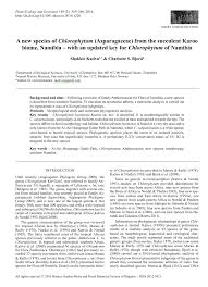 Image result for Chlorophytum bulbinifolium