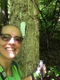 9.5 miles with 1500ft of elevation gain/loss. Phew!!