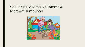 Yang memiliki tugas dan tanggung jawab menjaga kebersihan. Soal Kelas 2 Tema 6 Subtema 4 Merawat Hewan Dan Tumbuhan Kumpulan Soal Tematik Sd