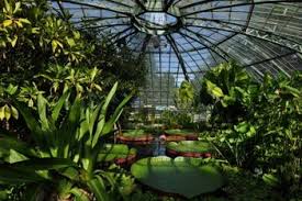 Botanischer Garten Der Universitat Basel Aktivitaten