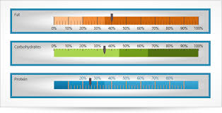 Download Wpf Linear Gauge Free Silturnfisri26s Soup